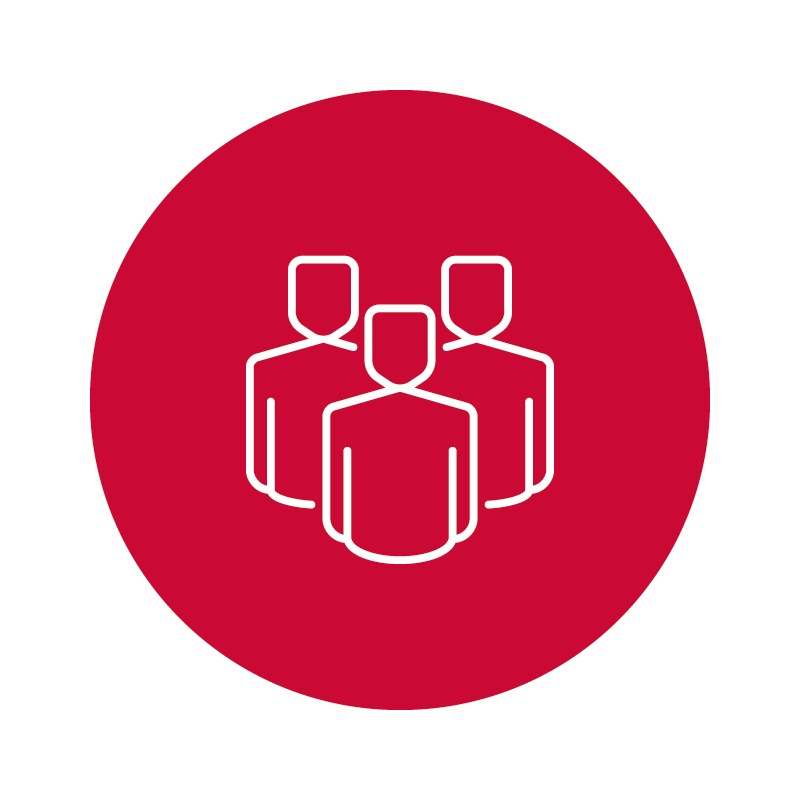 Consulenti partner